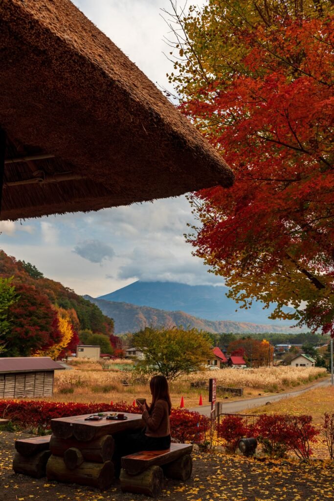 Mount Fuji Premium Chauffeured Excursion