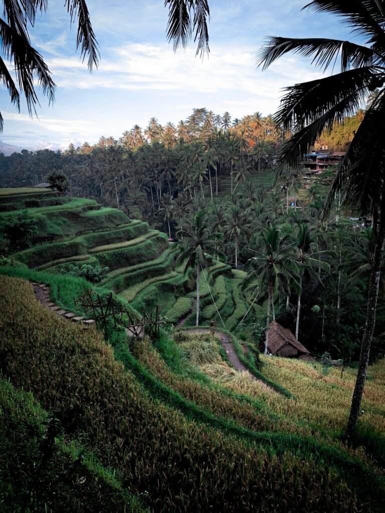 Plataran Menjangan Forest and Sea Retreat