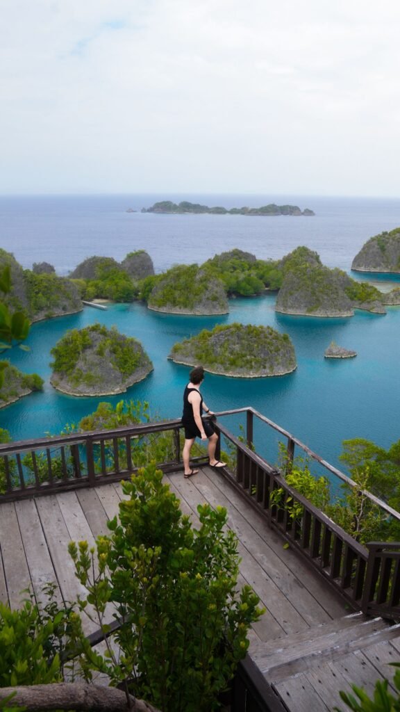 Raja Ampat Private Guided Snorkeling Day