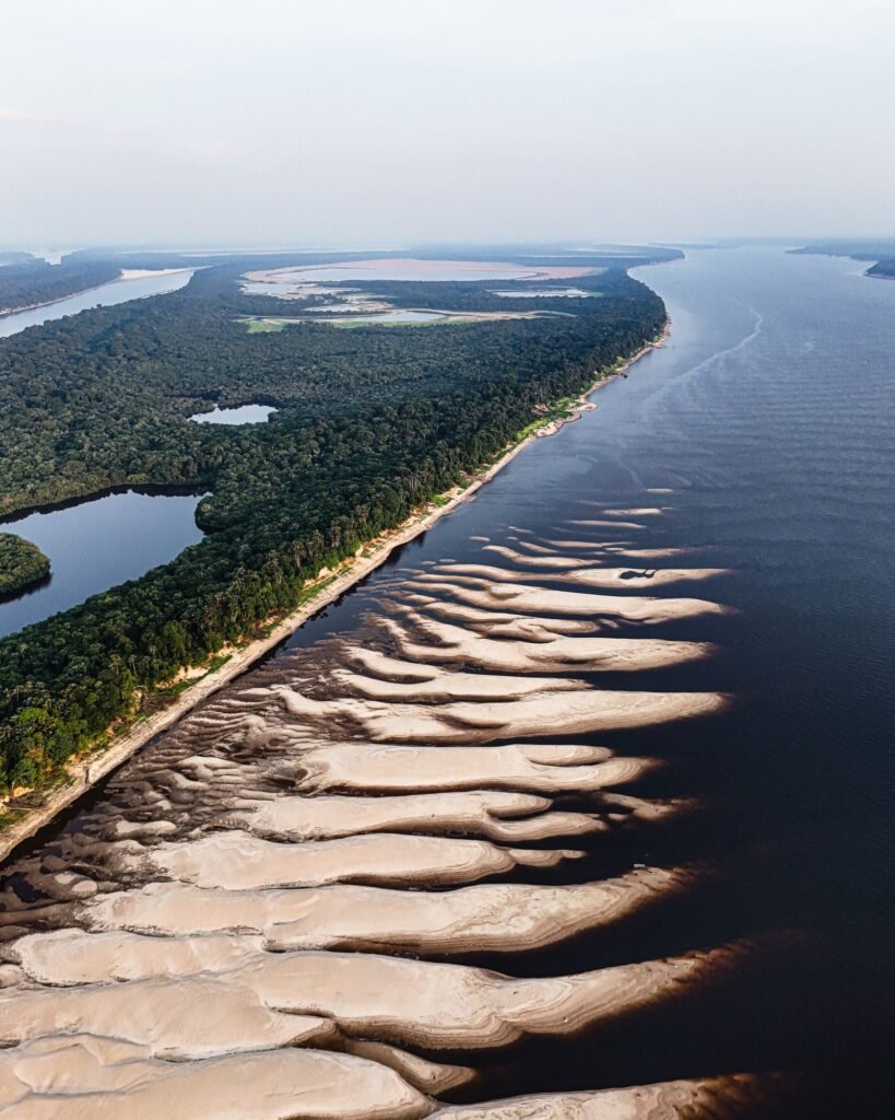Amazon Private River Speedboat Charter