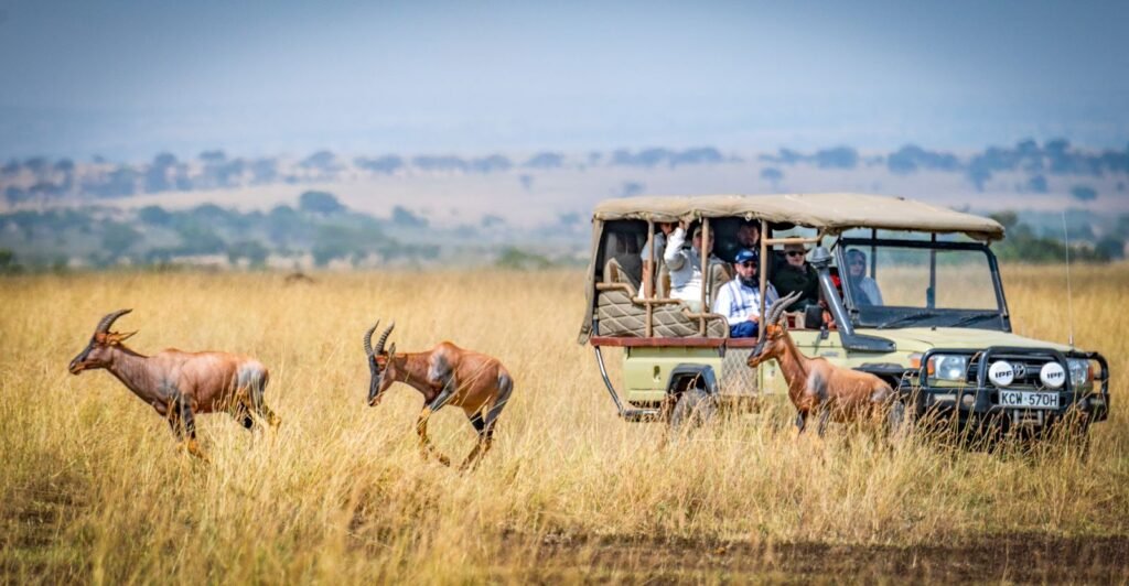 Ol Donyo Lodge Amboseli Region Premium Stay