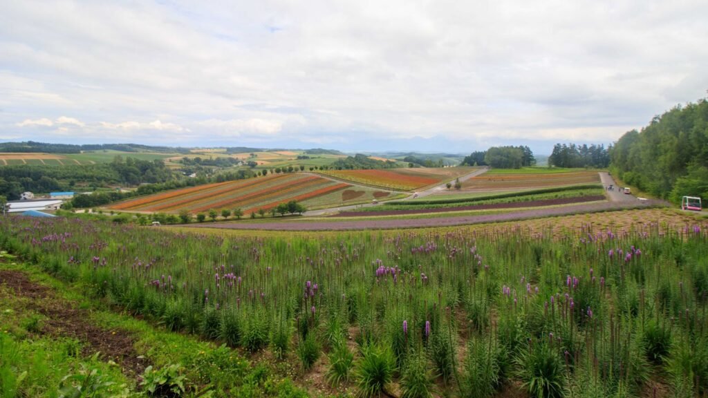Japan Luxury Discovery Hokkaido and Niseko Journey