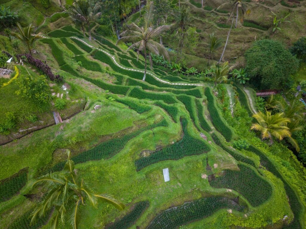 Bali Ubud and Uluwatu Luxury Escape