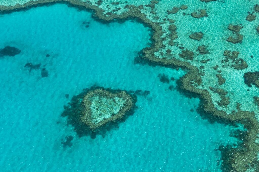 Great Barrier Reef Private Yacht Day