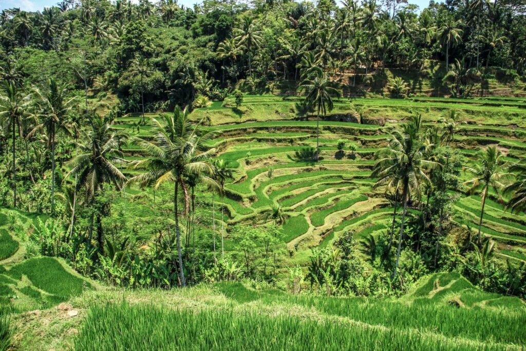 Bali Private Helicopter Scenic Experience