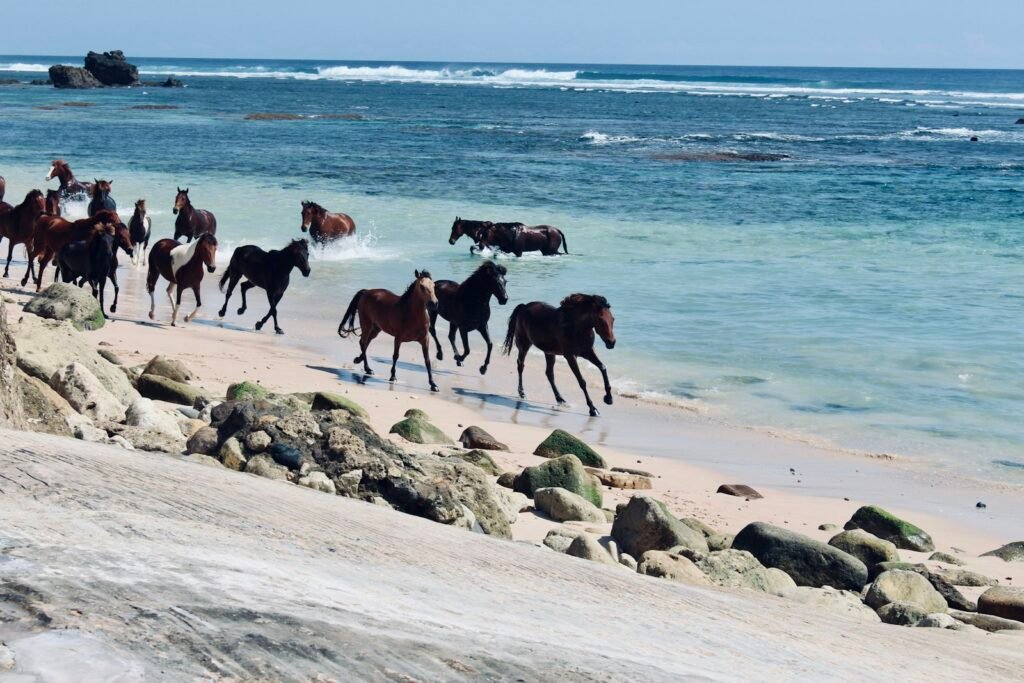 Nihi Sumba Premium Villa Escape