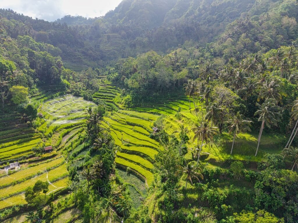 The Mulia Bali Luxury Retreat