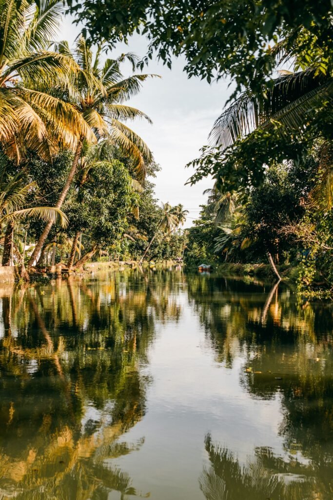 Kerala Private Luxury Houseboat Cruise