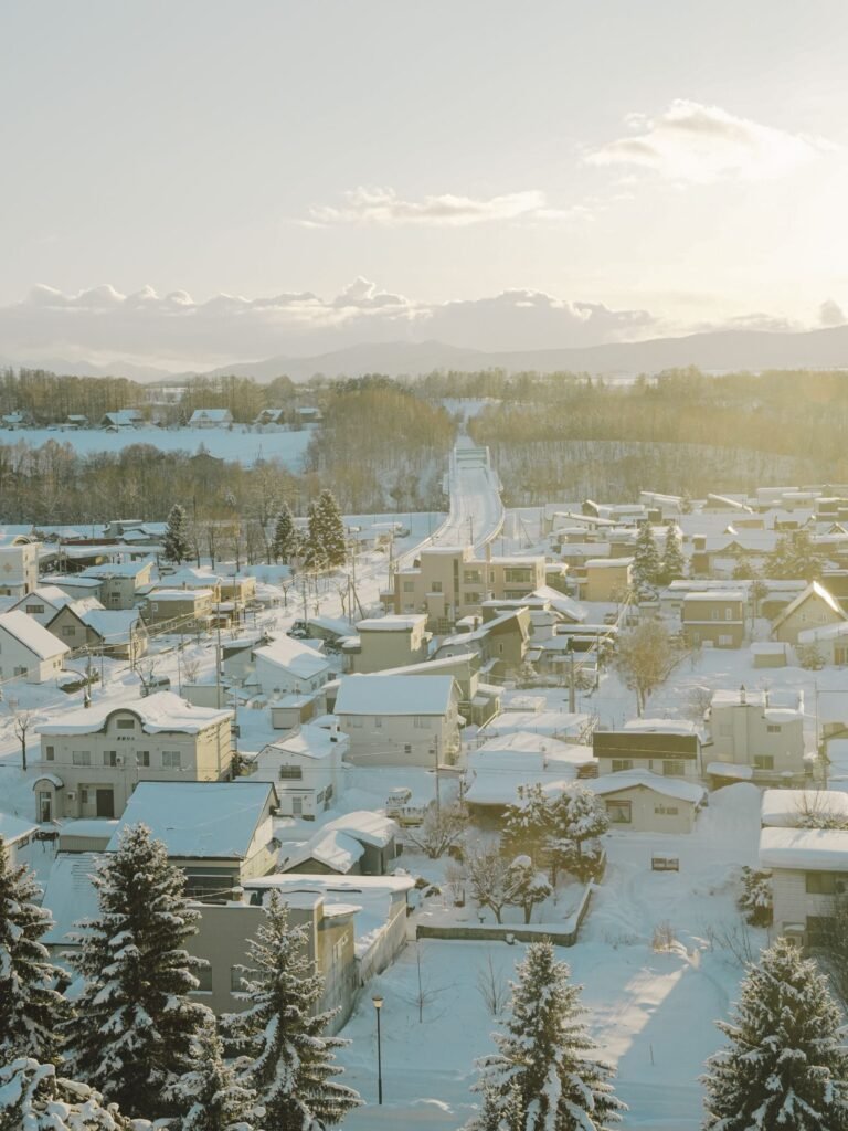 Hokkaido Niseko Private Winter Transfer