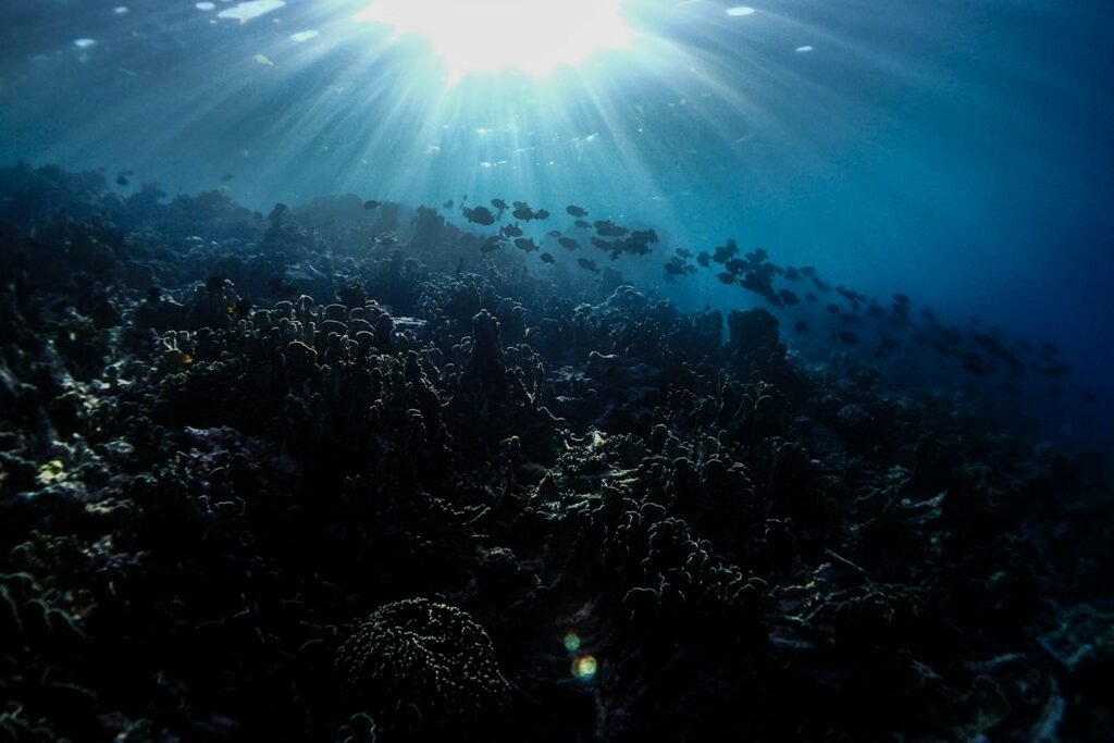 Wakatobi Private Coral Escape