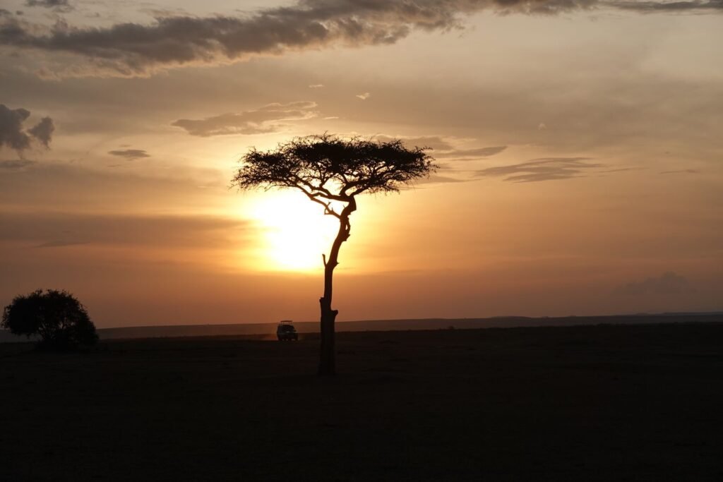 Angama Mara Premium Stay