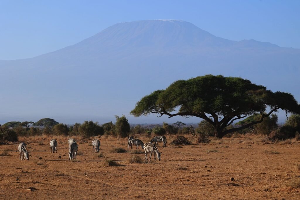 Kenya Private Grand Amboseli National Park Journey