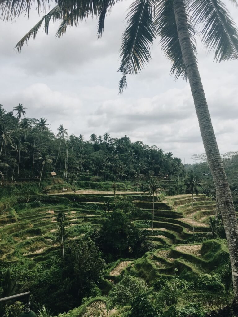 Bali Nusa Dua Wellness Retreat